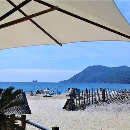 Studio Le Monroe Les Pieds Dans L'Eau 10 M De La Mer لا سين سور مير المظهر الخارجي الصورة