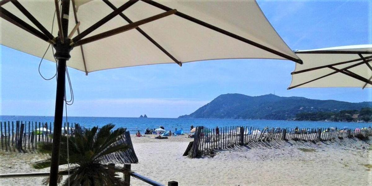 Studio Le Monroe Les Pieds Dans L'Eau 10 M De La Mer لا سين سور مير المظهر الخارجي الصورة