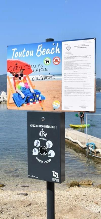 Studio Le Monroe Les Pieds Dans L'Eau 10 M De La Mer لا سين سور مير المظهر الخارجي الصورة